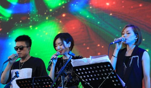 中演協(xié)經(jīng)紀(jì)人委員會(huì)專業(yè)護(hù)航，沈陽(yáng)法庫(kù)音樂節(jié)圓滿落幕